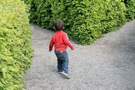 Au sujet des décisions et des choix