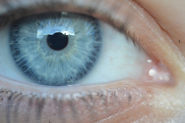 oeil bleu