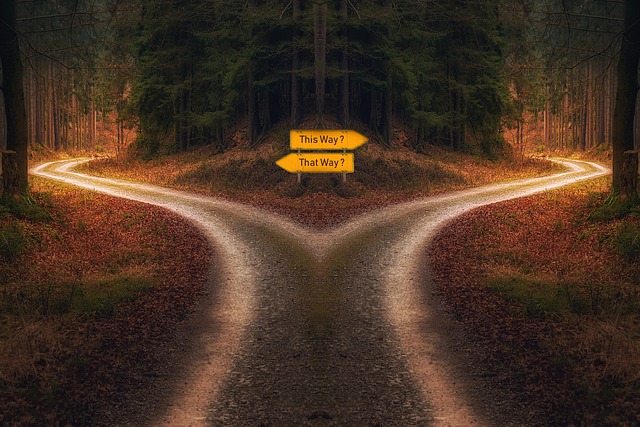 decision trouver sa voie